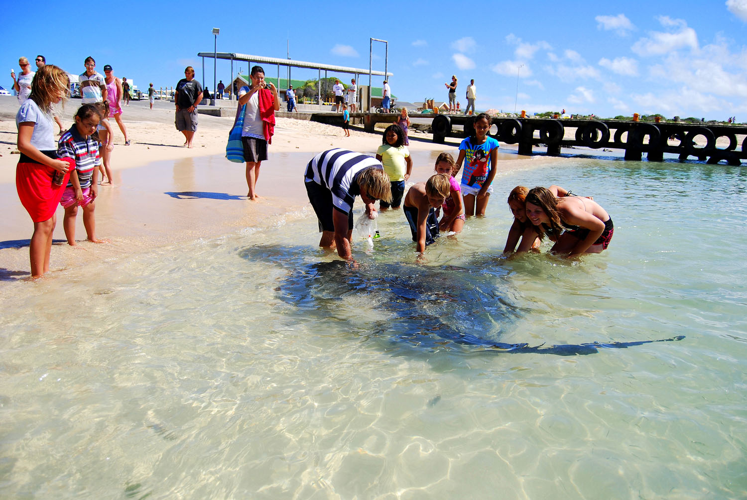 5 Fun Free Things To Do In L Agulhas Struisbaai Xplorio Agulhas