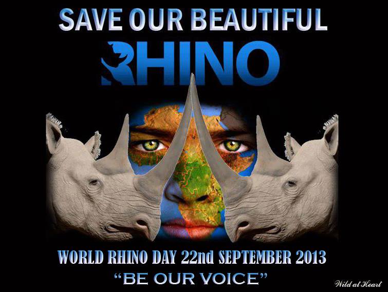 Rhino Day 22 Sept 2013