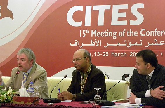 Cities meeting 