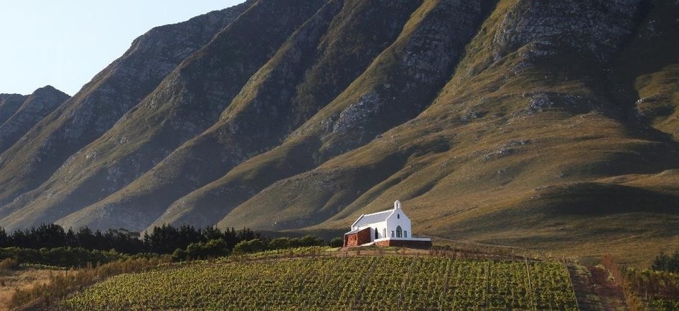 Vineyard Vibes: Hermanus Wine Trails