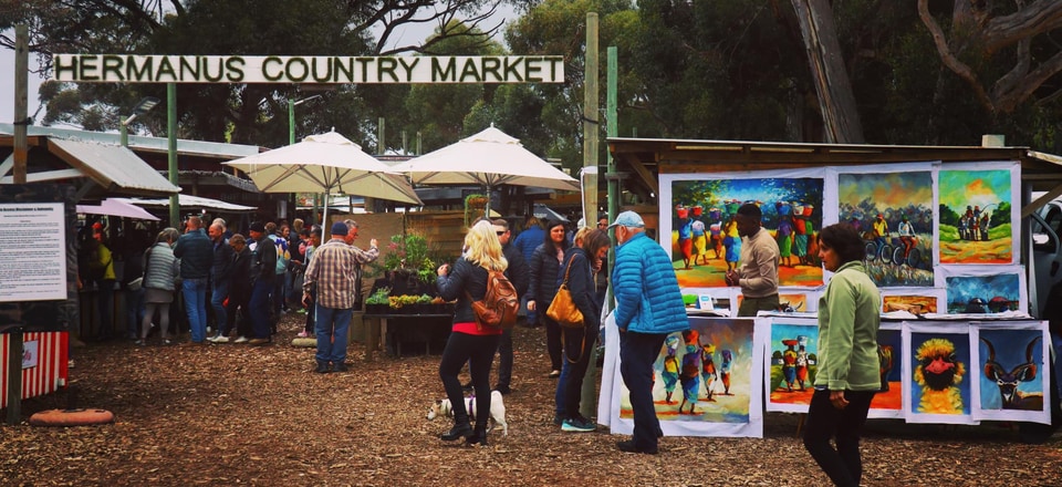 Hermanus: Endless Adventures Await