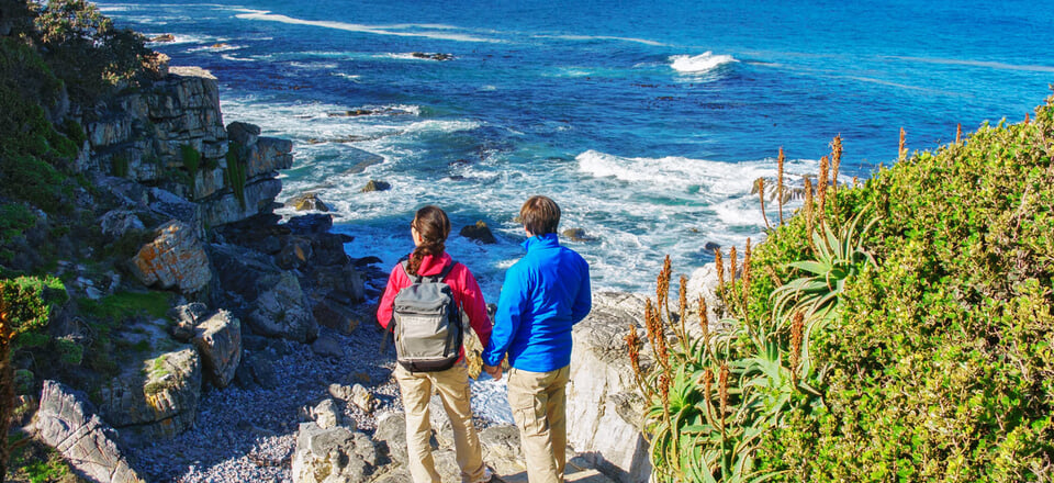 Hermanus: Endless Adventures Await