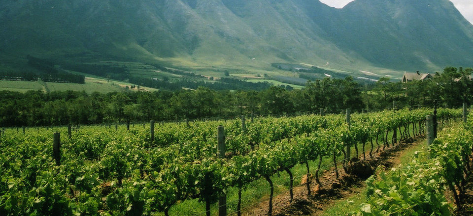 Let your Taste Buds Guide you Through the Hemel-en-Aarde Valley