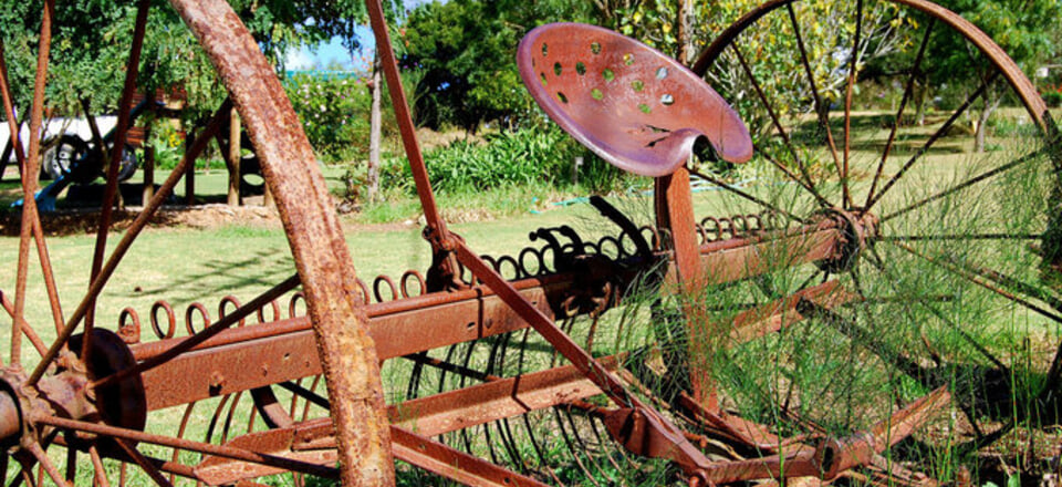 Landmarks of Distinction: Napier's Pride