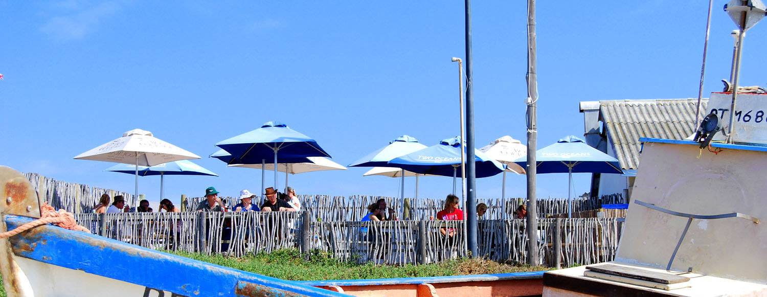 Sit Down to a Delicious Meal of Freshly Caught Seafood