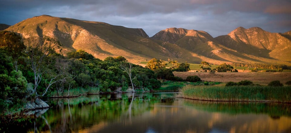 Explore the Charm of Overberg's Hidden Gem