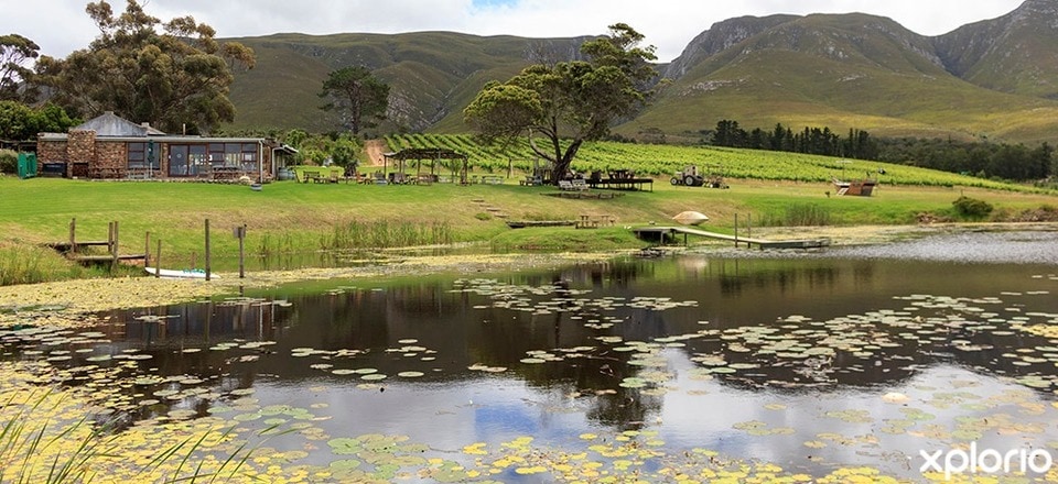 Explore the Charm of Overberg's Hidden Gem
