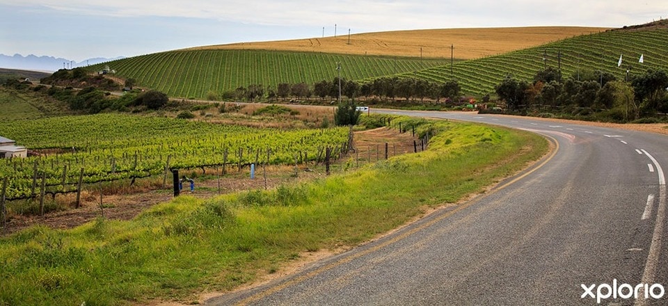 Explore the Charm of Overberg's Hidden Gem