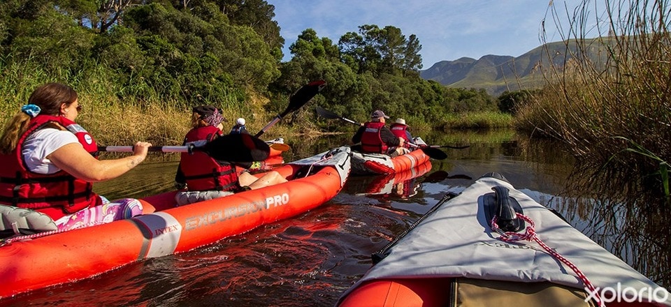 Adventurous Escapes, Stanford Style