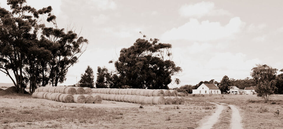 The Only Overstrand Town Declared a Heritage Site