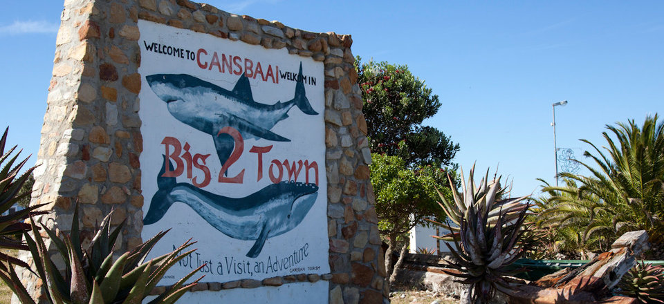 Join the Festivities in Gansbaai