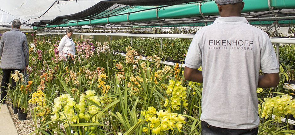 Stanford: Service with a Smile