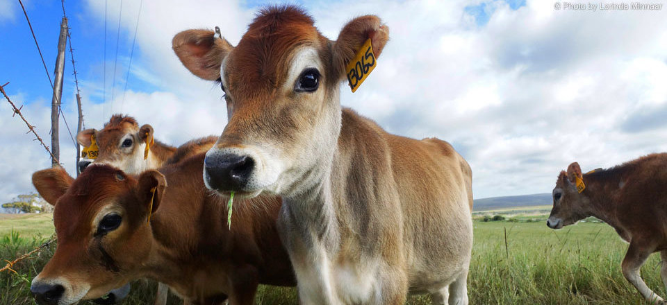 A Town Where Convenience meets Warm Hospitality