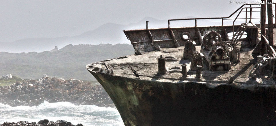 Dive into the Untold Tales of the Cape of Needles