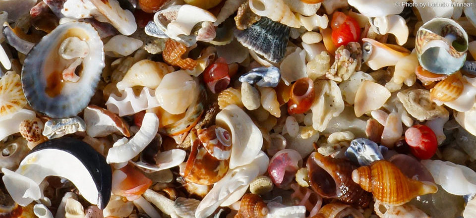 A Natural Haven Where You Can Get Back to Basics