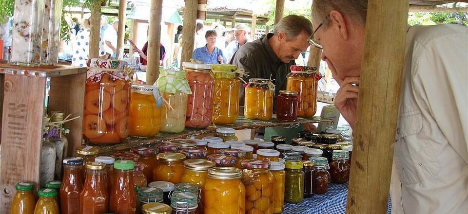 Adventures, Arts, and Tranquility in Greyton and Genadendal