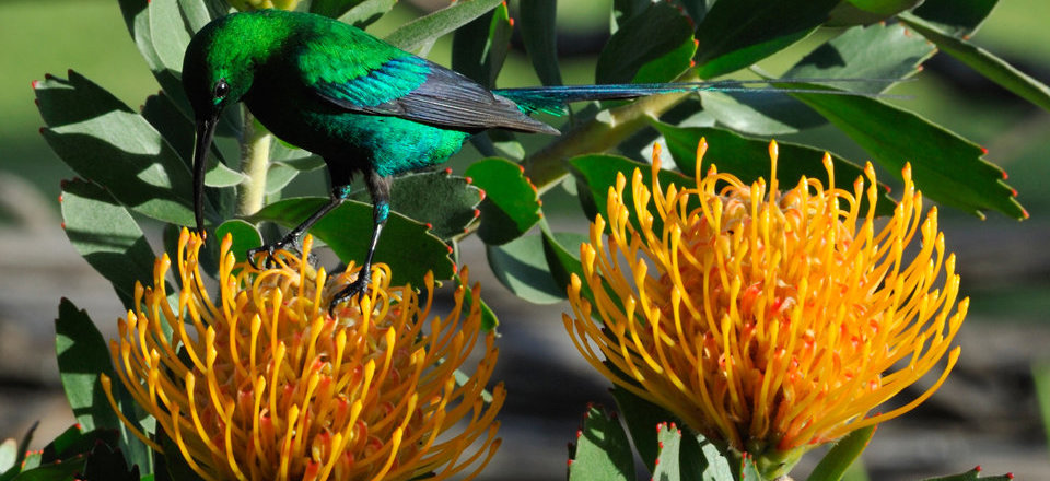 that Offers an Array of Exciting Attractions