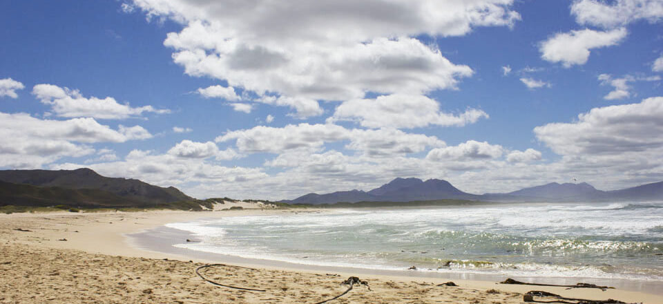 Kleinmond's Endless Adventures Await!