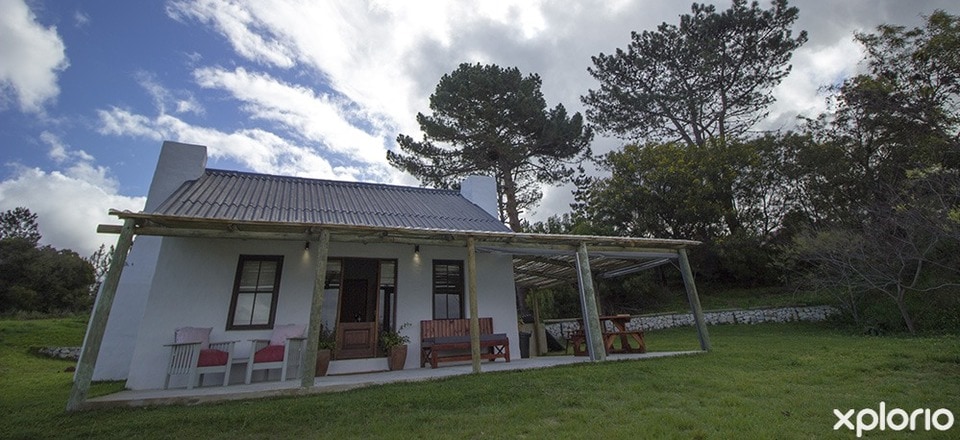 Kleinmond Getaways: Where Comfort Meets the Coast