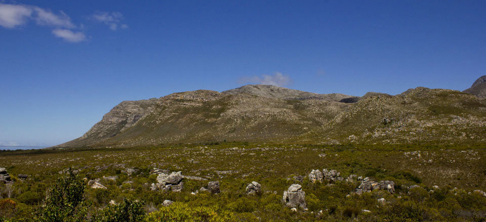 Where even the Impenetrable Kogelberg Mountain Range Shaped it's History