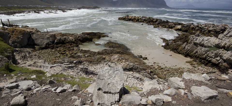 Welcome to Betty's Bay 