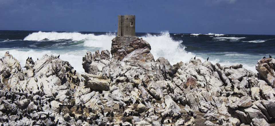 Explore the Maritime History that Defined Betty's Bay