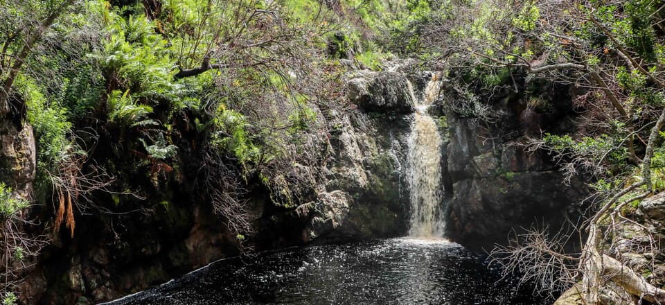 Outdoor Paradise Awaits in Betty’s Bay