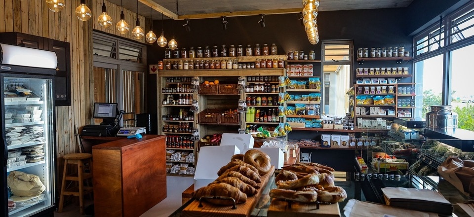 Thriving Together: Betty's Bay Business Harmony