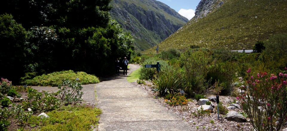 Discover Adventure in Betty's Bay
