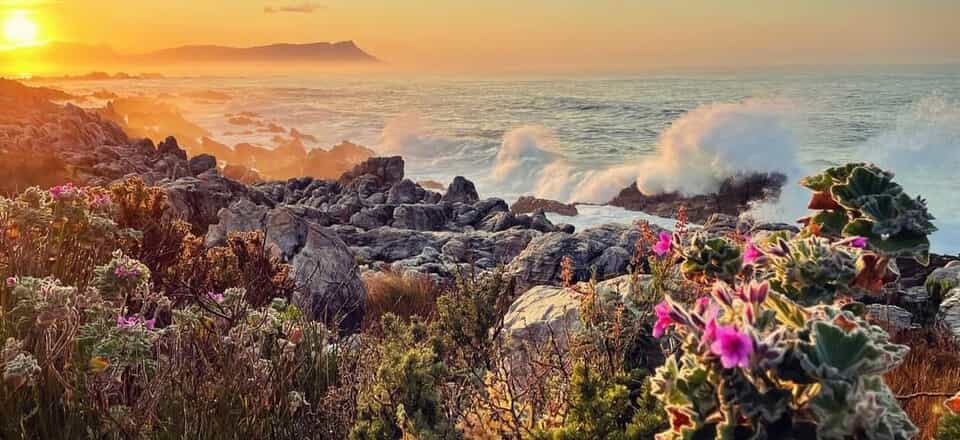 Holiday Getaway in a Nature Reserve
