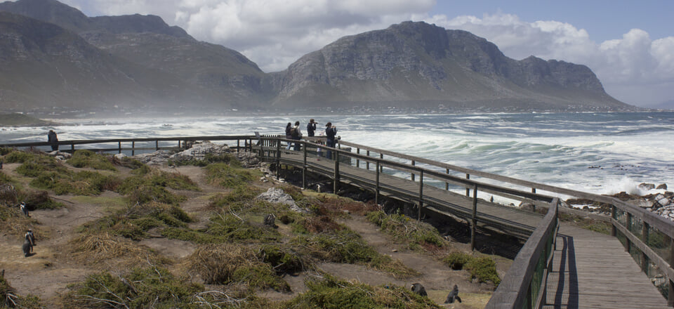 Holiday Getaway in a Nature Reserve