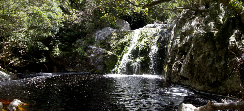 Holiday Getaway in a Nature Reserve