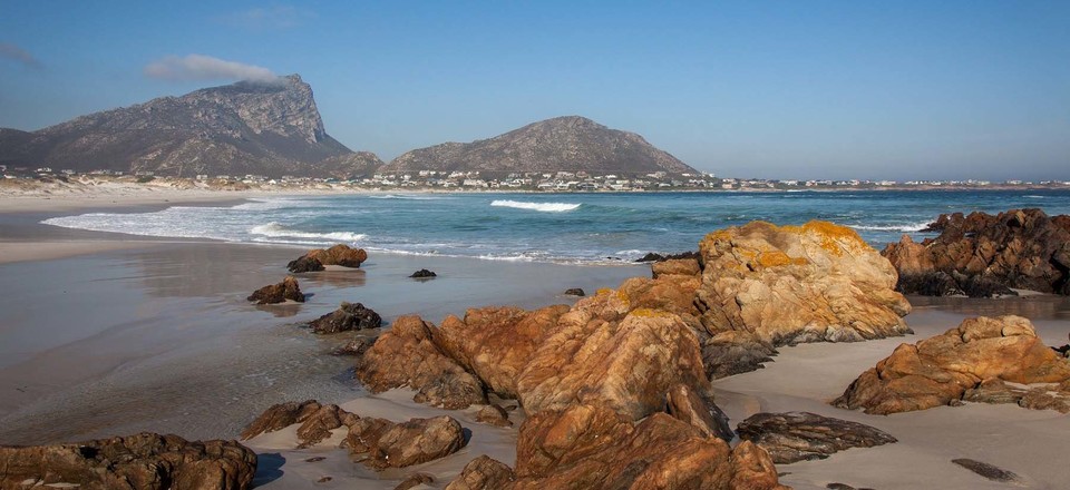 Welcome to Pringle Bay and Rooi Els