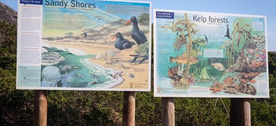 Untouched Beaches Waiting to Be Discovered