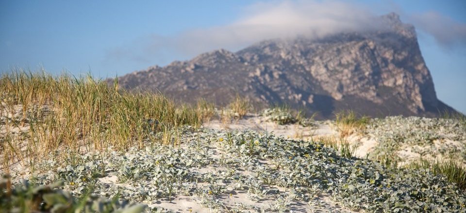 Immerse Yourself in the History of the Villages