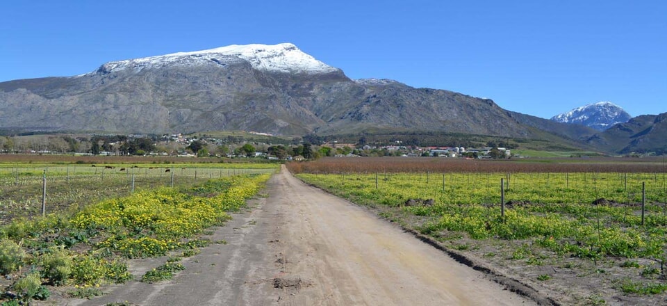 Unlock Villiersdorp's Local Treasures