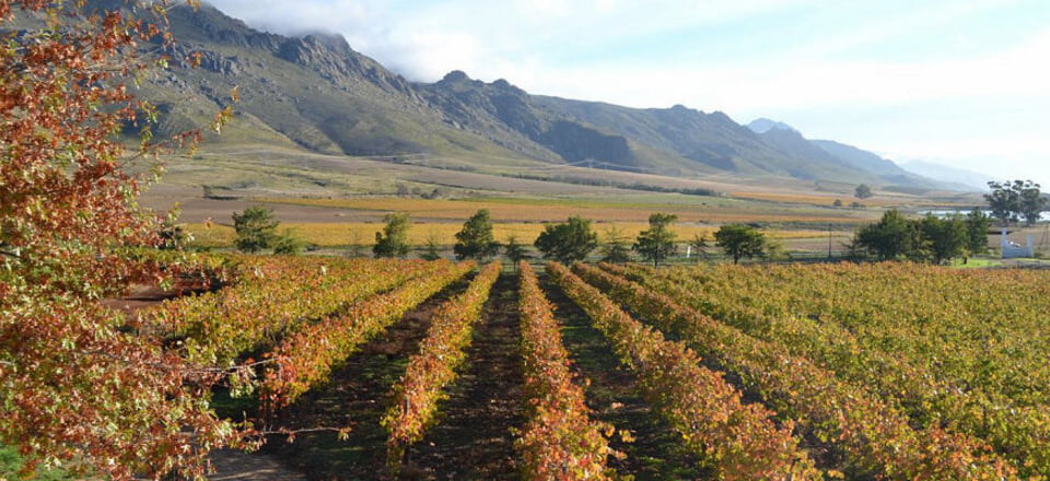 Experience Adventure in Villiersdorp