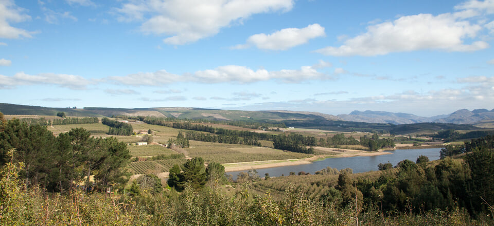 Welcome to Grabouw & the Elgin Valley