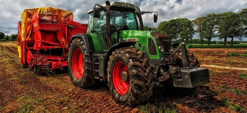 Grabouw: Supporting Locals, Embracing Excellence