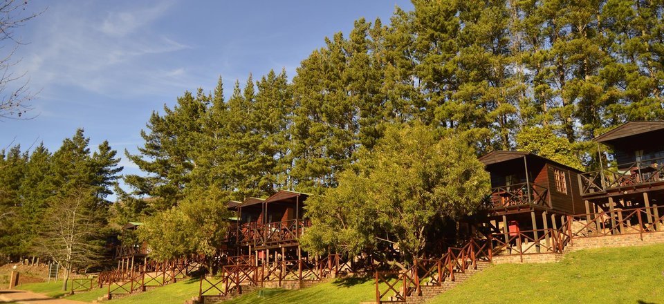 Rest Easy in The Elgin Valley