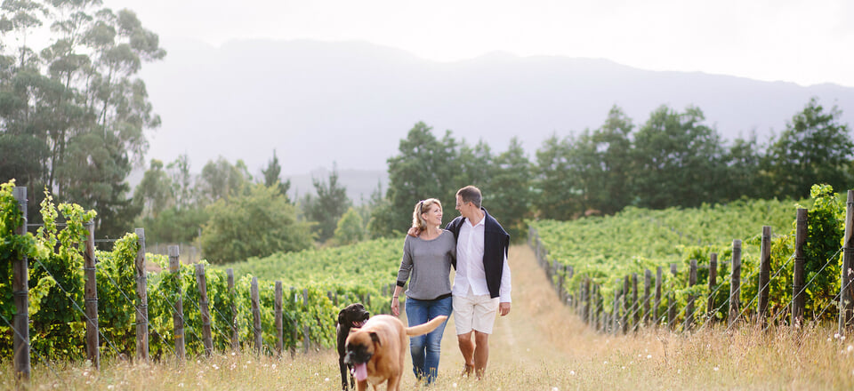 Embrace Excitement with Grabouw’s Adventures