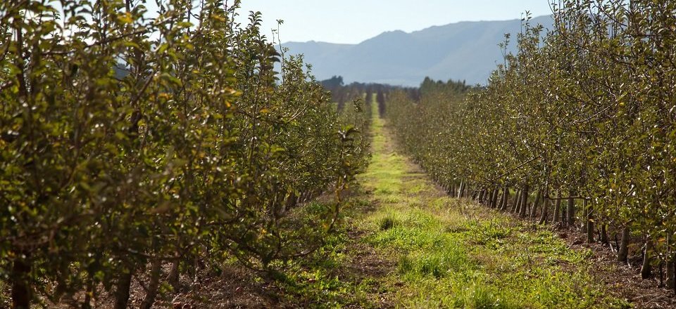 And Delve into a History as Rich as the Soils