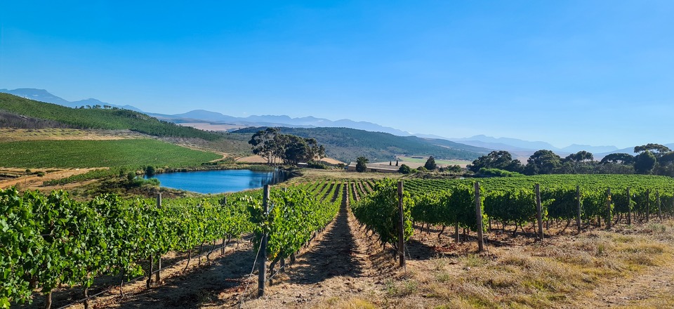 Embracing History, Nature, and Rural Charm