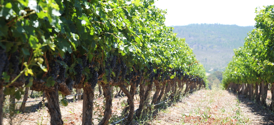 Embracing History, Nature, and Rural Charm