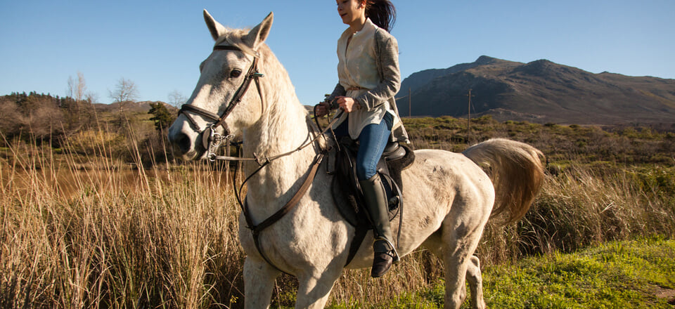 Embrace Excitement, Botrivier Style