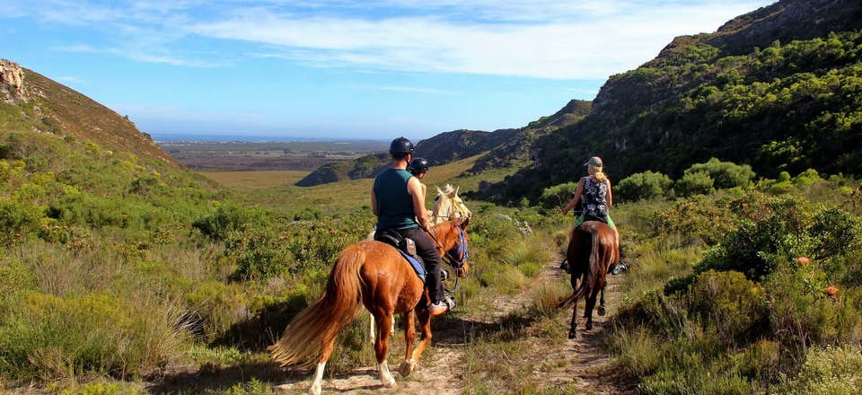 Outdoor Adventures, Scenic Trails, and Hidden Gems