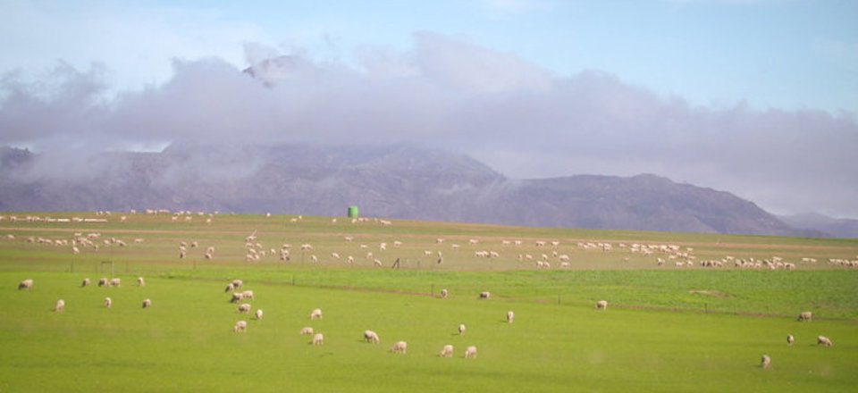 Essential Insights into Life in Caledon