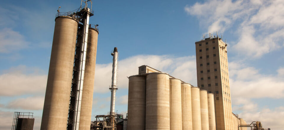 Essential Insights into Life in Caledon