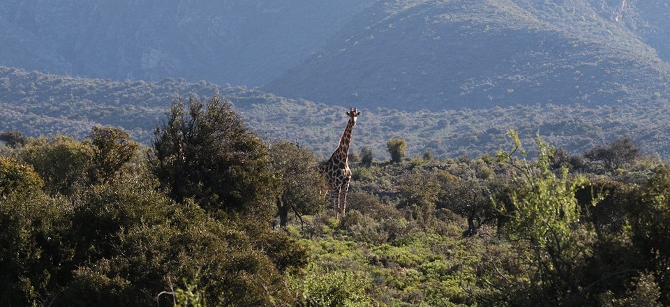 Barrydale Trails: Your Path to Outdoor Bliss
