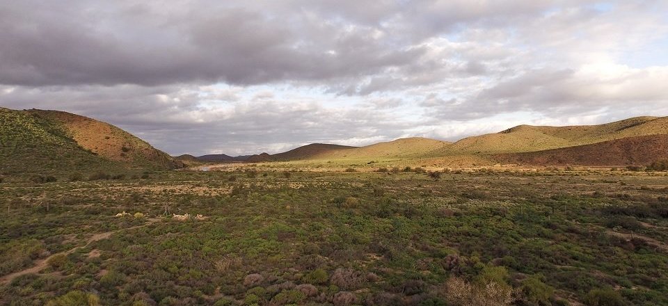 Discover the Gems of the Landscapes